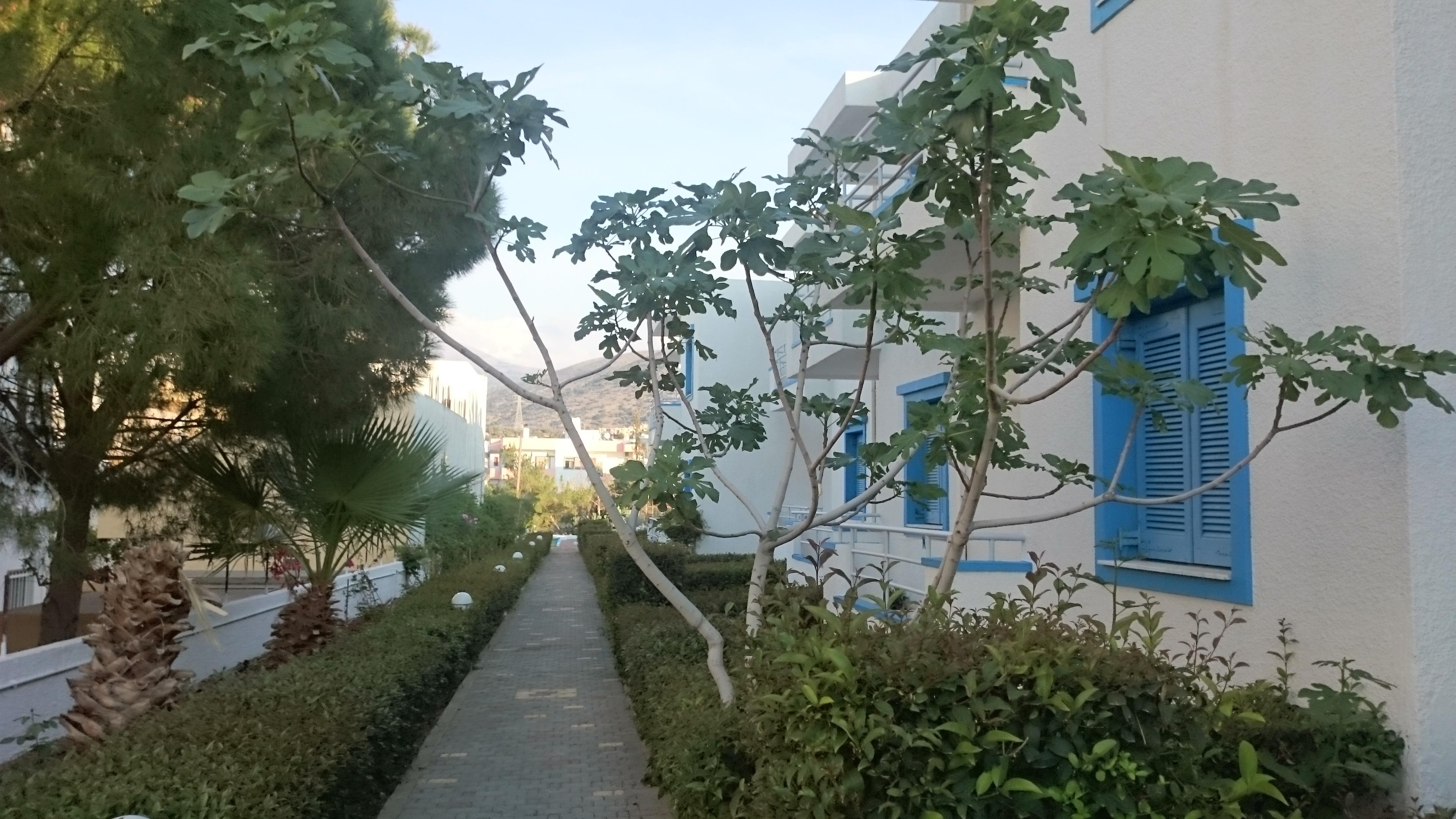 Amazones Villas Apartments Khersónisos Eksteriør bilde